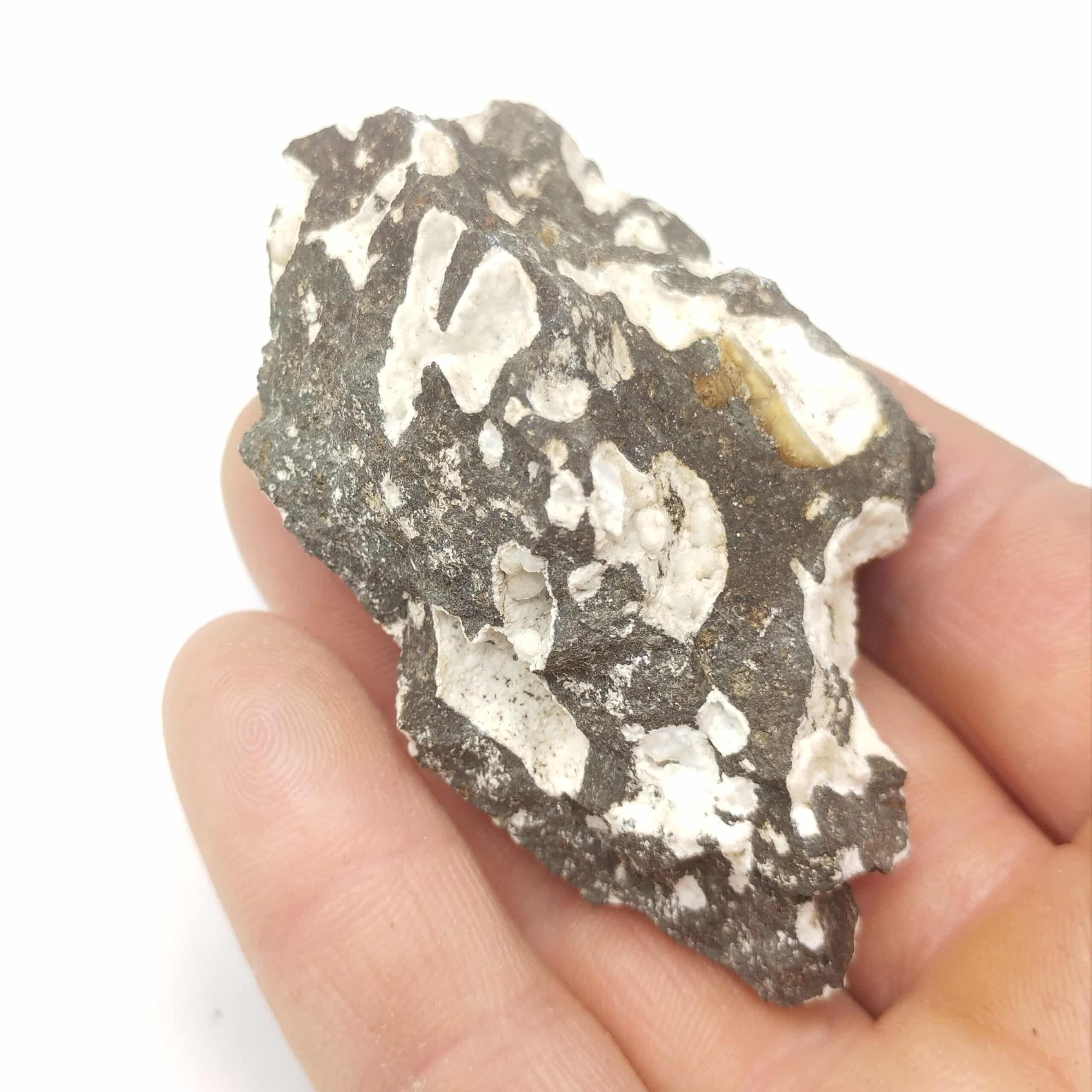 Gonnardite, Gignat, Puy-de-Dôme, Auvergne.