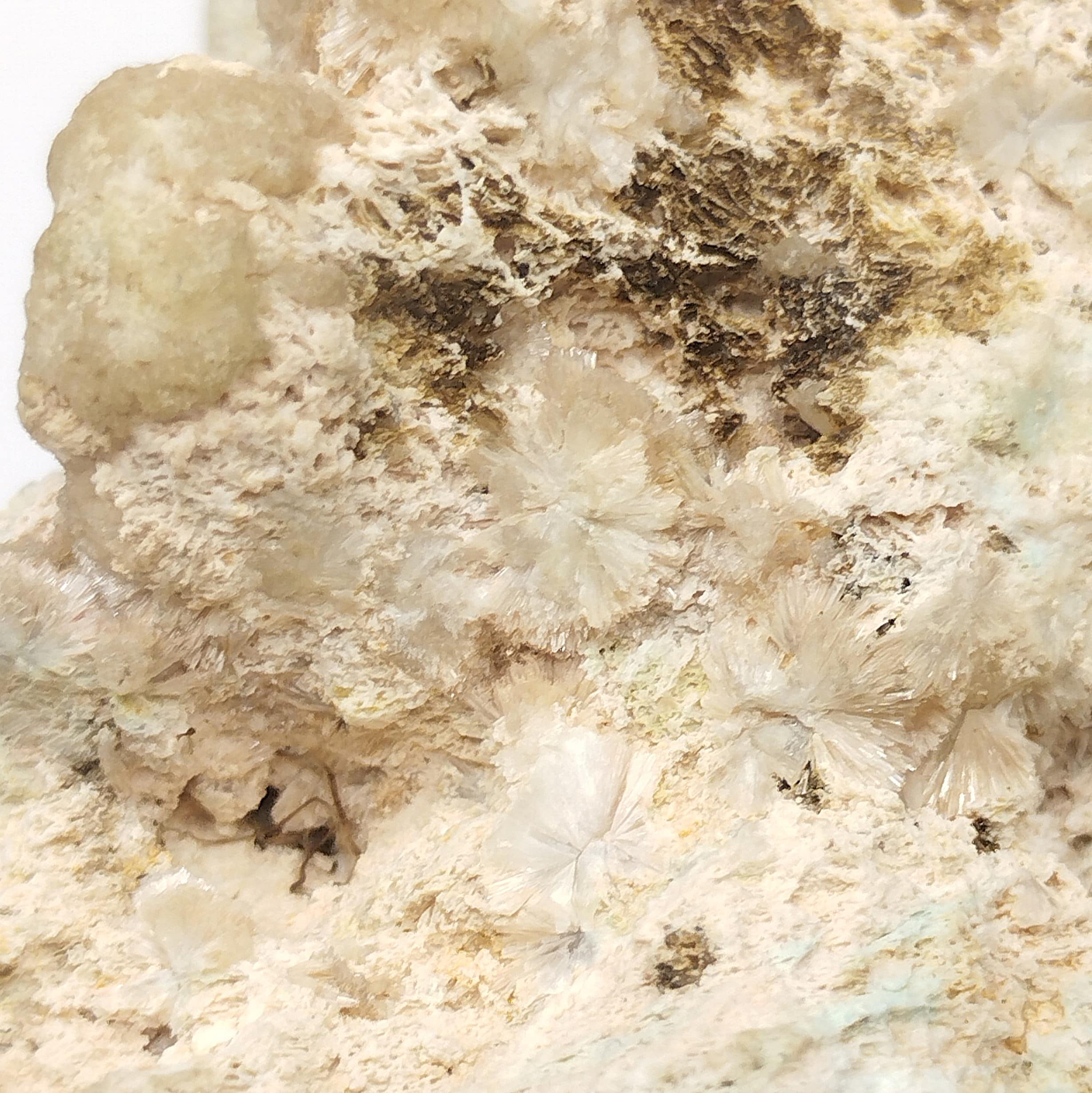 Wavellite & Turquoise, Montebras, Creuse.