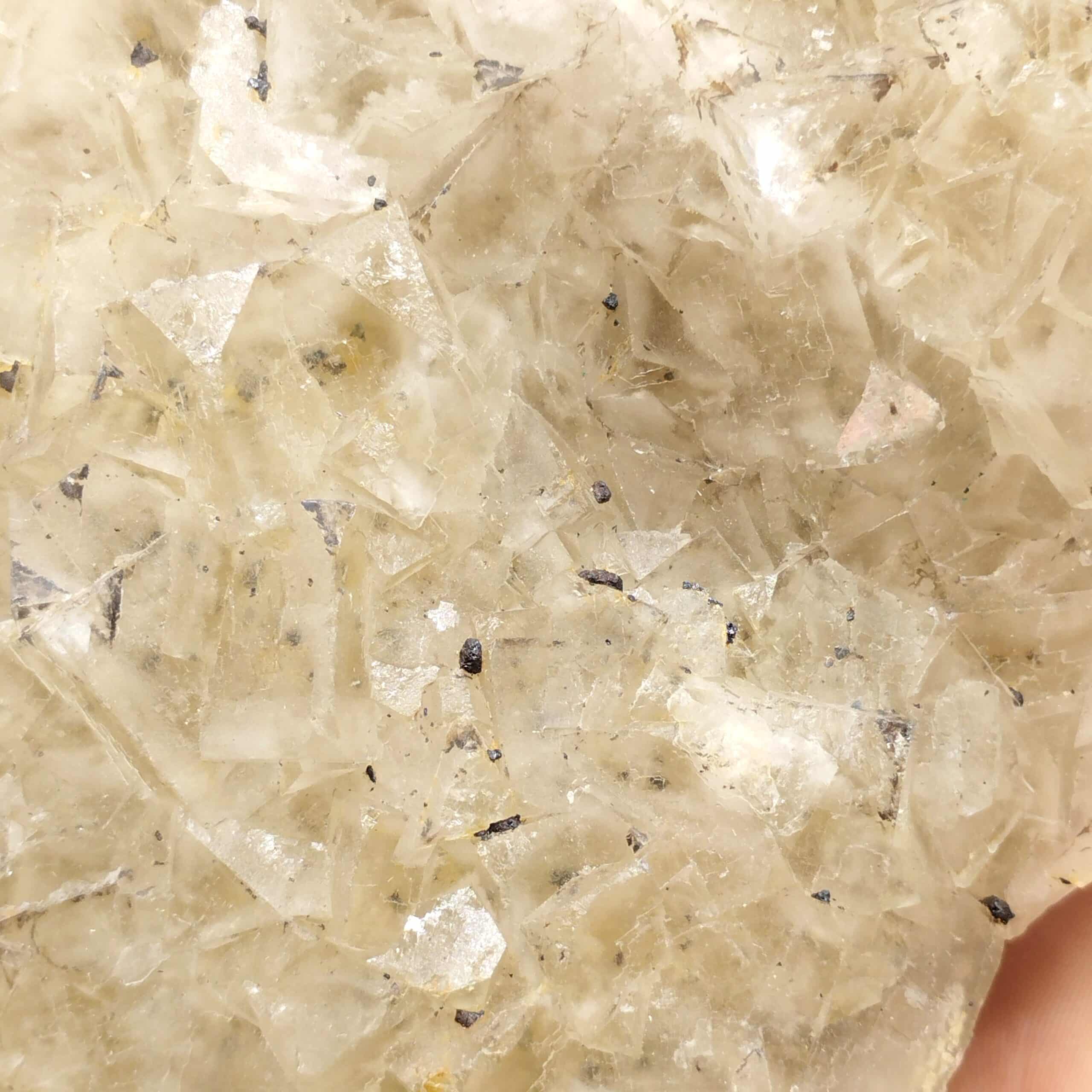 Fluorite (Fluorine), Mine de Fontsante, Var.