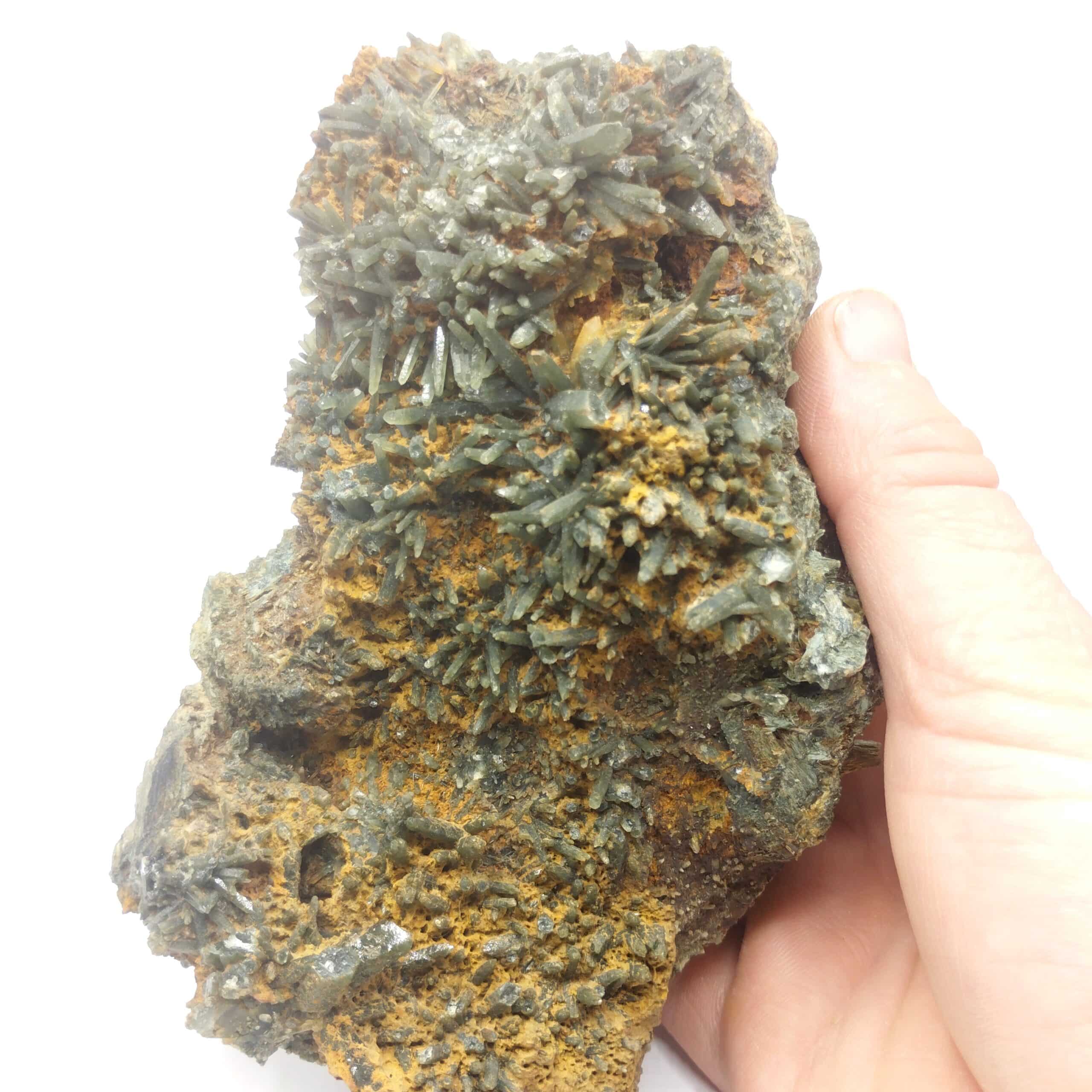 Hedenbergite & Quartz prase, Mine de Cape Calamita, Elbe, Italie.