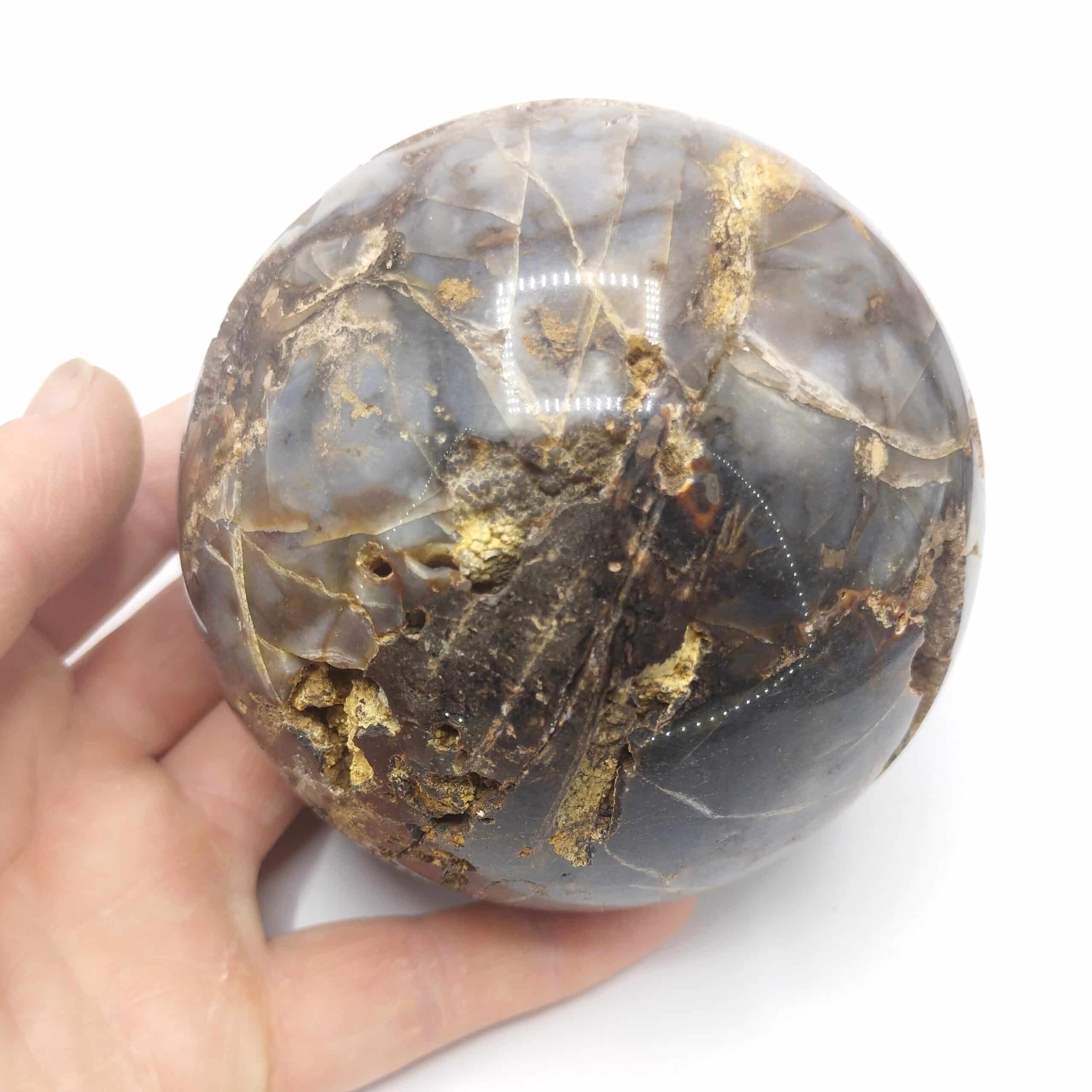 Sphère en bois fossile (Psaronius Bibractensis), Autun, Saône-et-Loire.