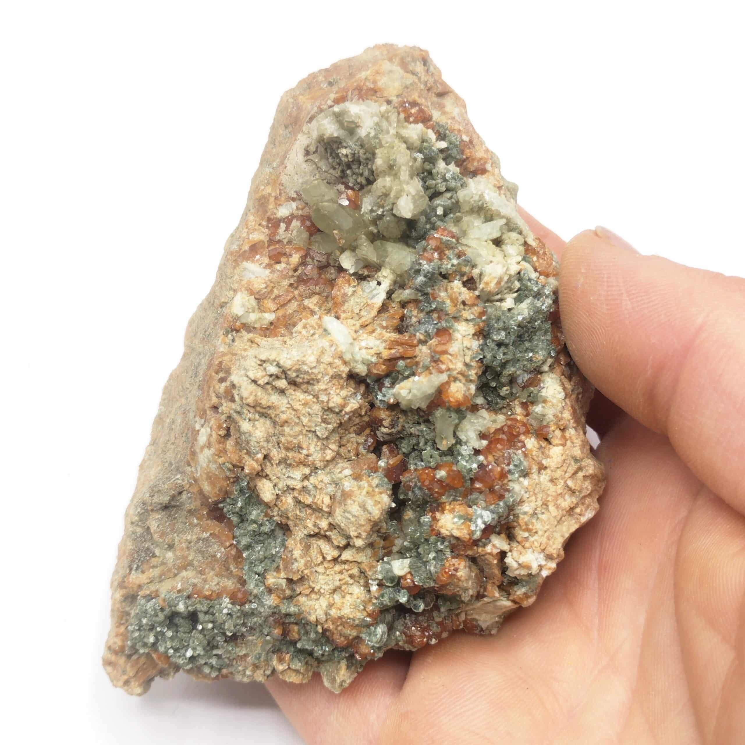 Diopside, Grenat & Chlinoclore, Val d’Ala, Piedmont, Italie.