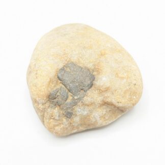 Galet de Rutile, Rochechouart, Haute-Vienne, Limousin.