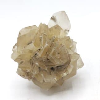 Gypse, Winnipeg, Manitoba, Canada.