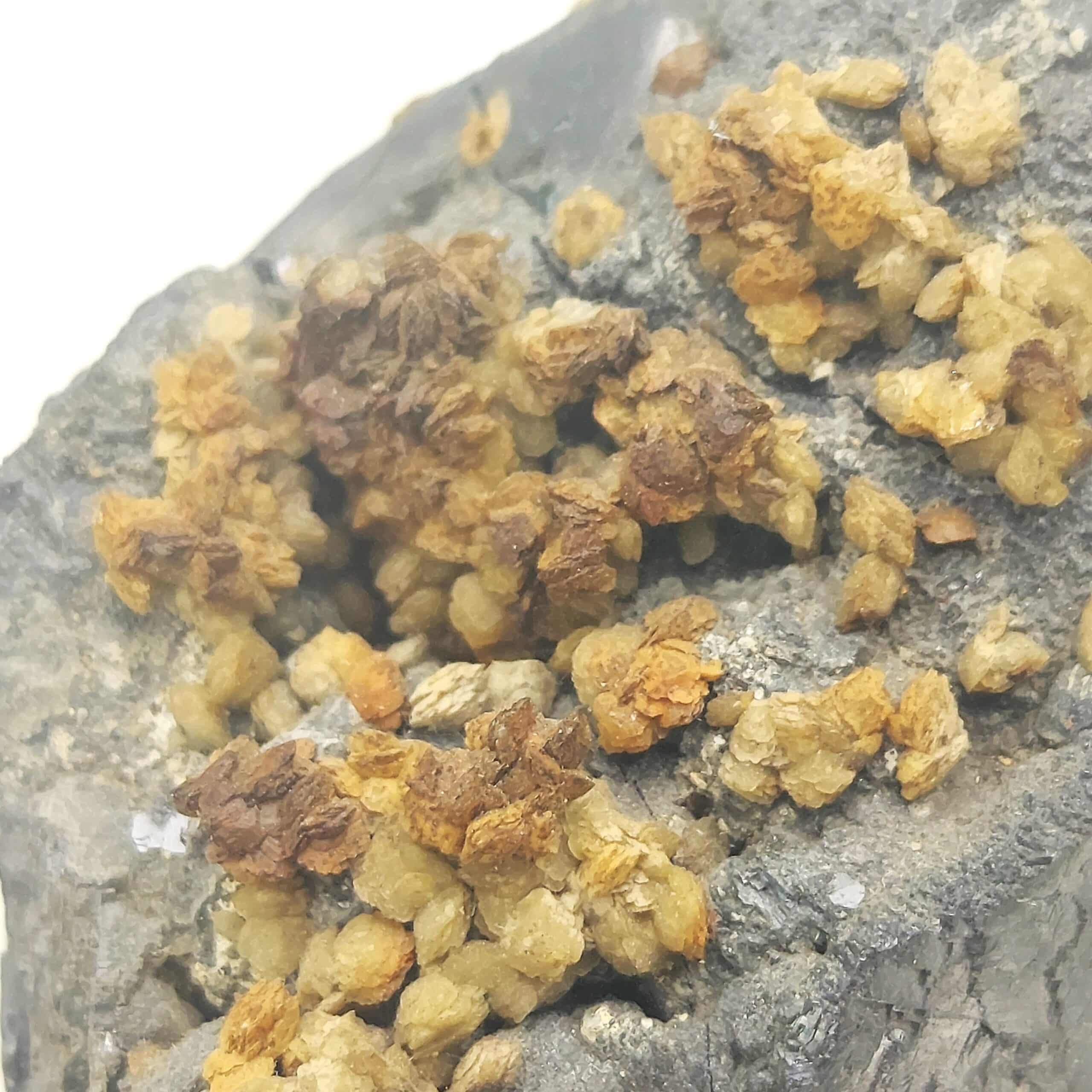 Galène et Sidérite, Moulay Bouazza Caïdat, Maroc.