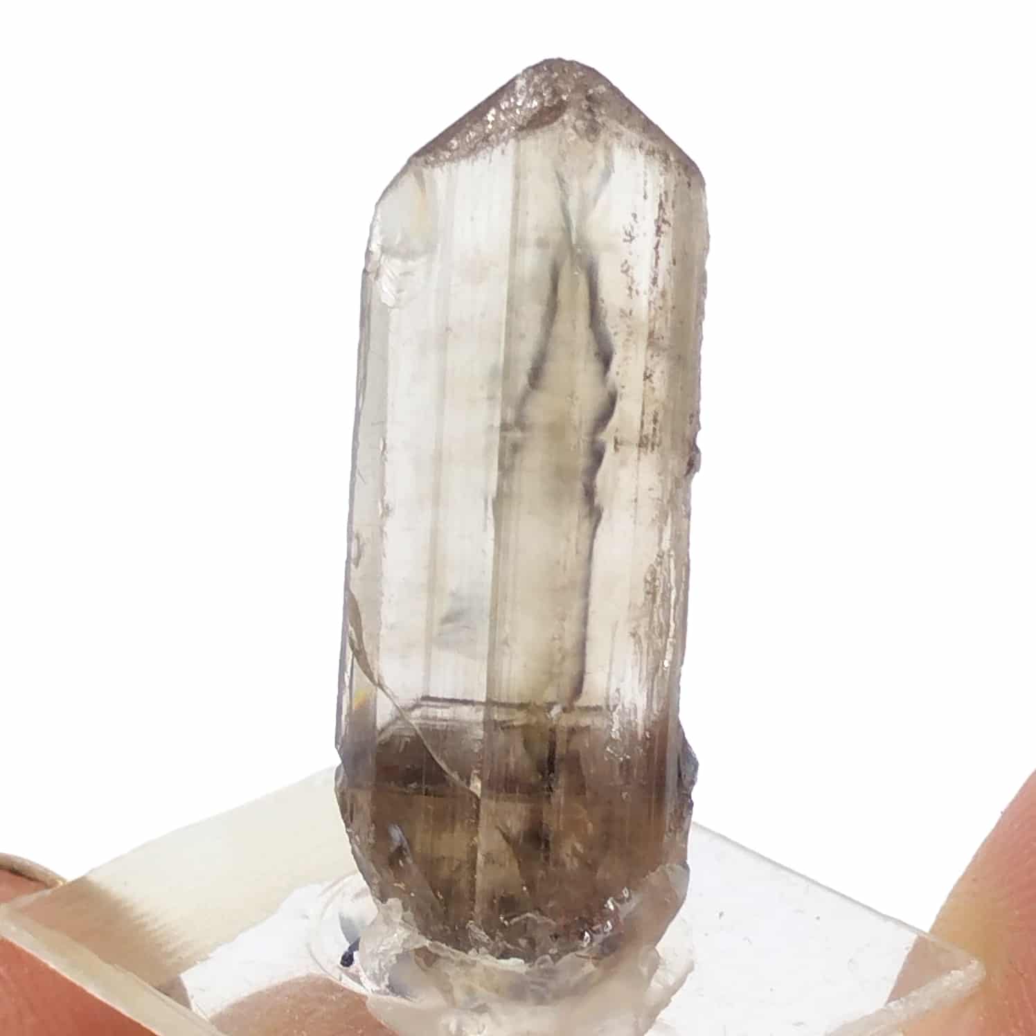 Cérusite, Touissit, Maroc.