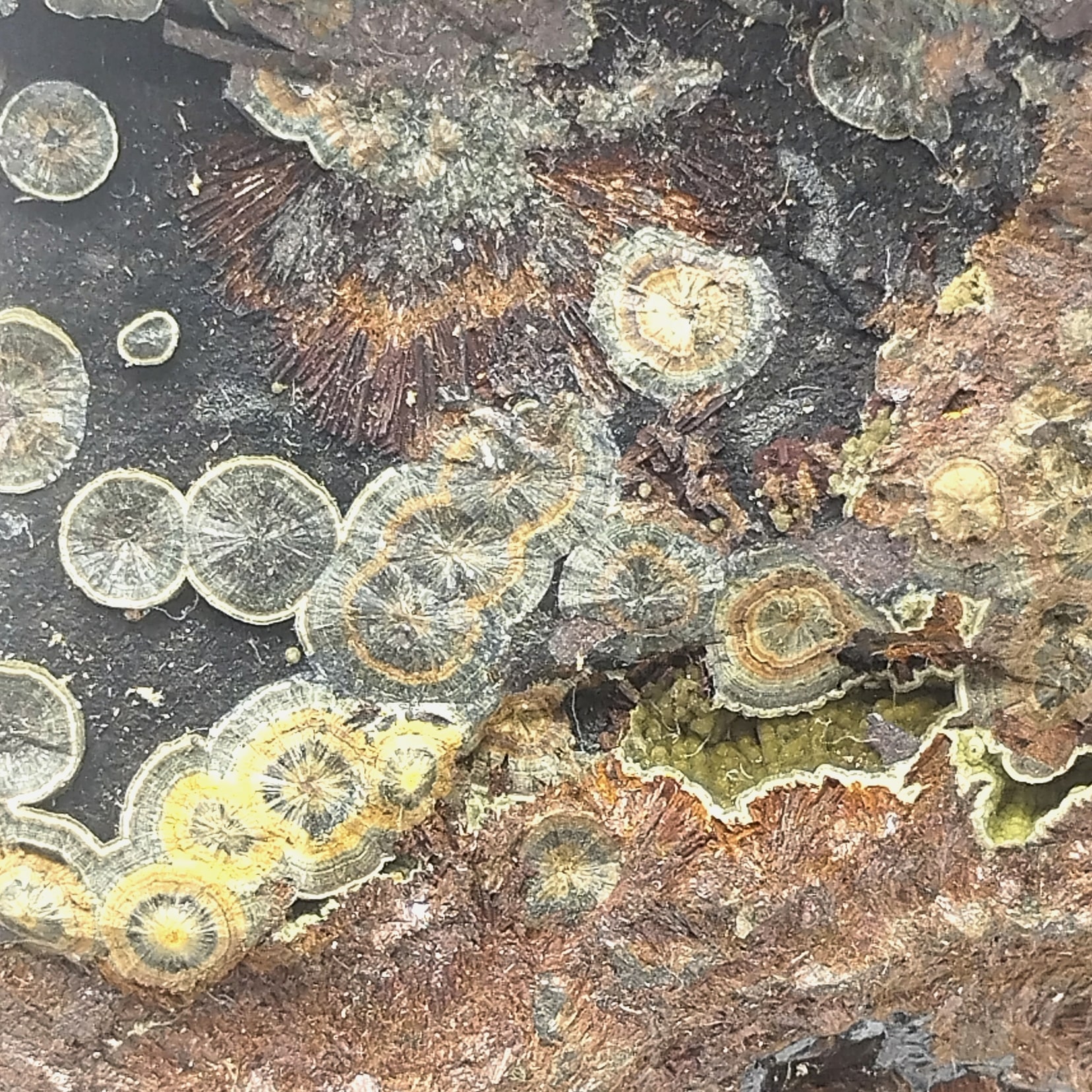 Kidwellite, Fodderstack Mount, Montgomery Co., Arkansas, USA (États-Unis).