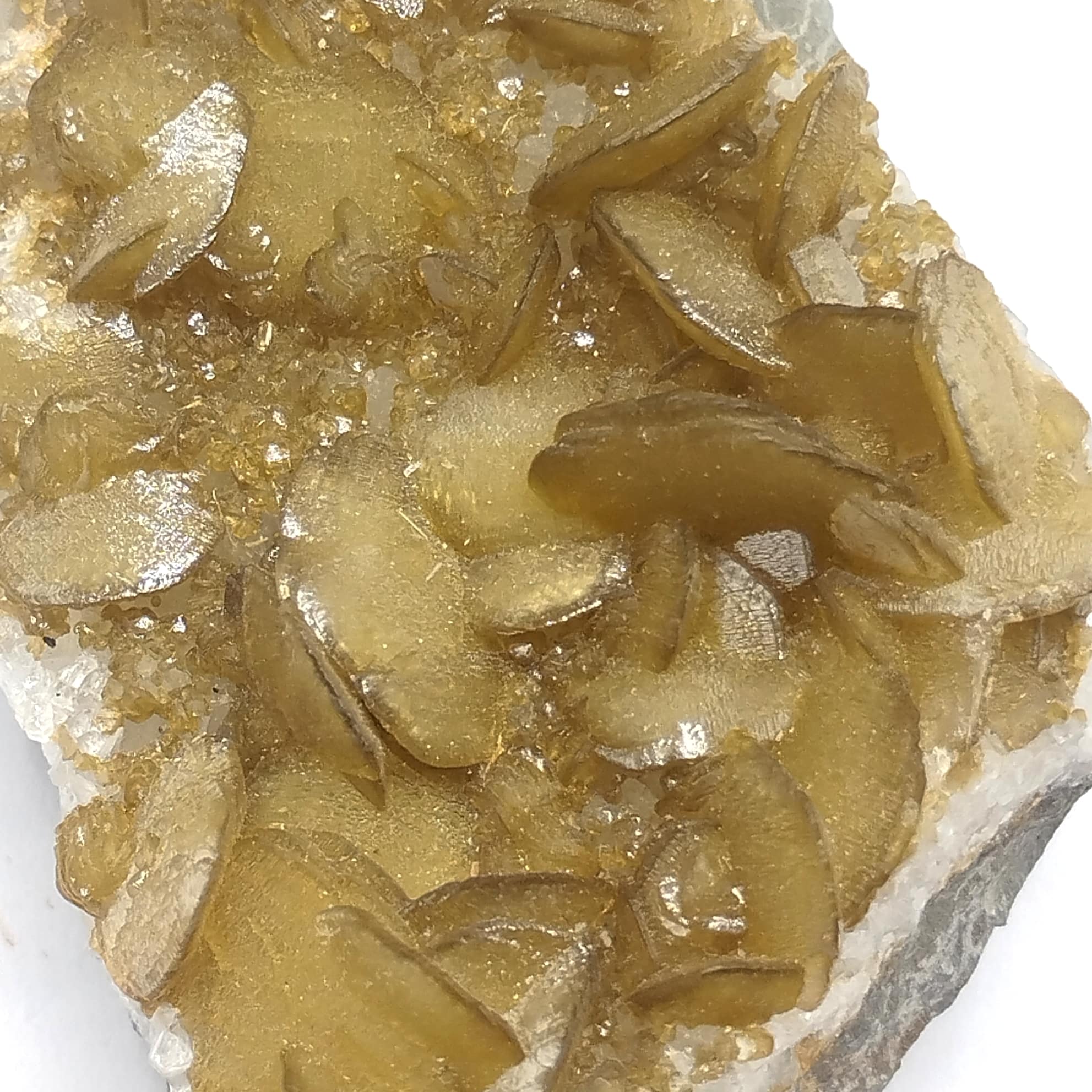 Sidérite, Napa, Californie, USA (États-Unis).