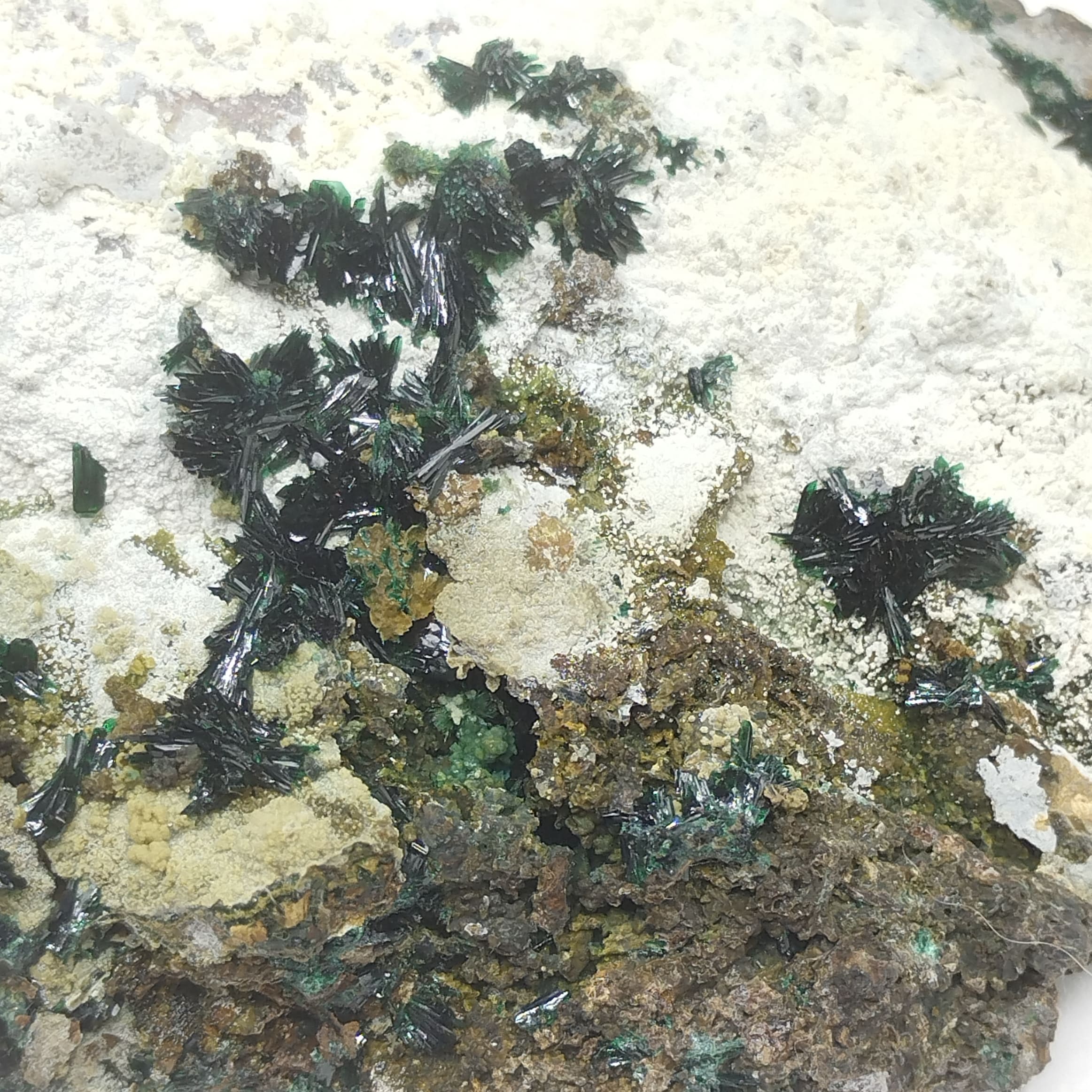 Atacamite, Mine de la Farola, Atacama, Chili.