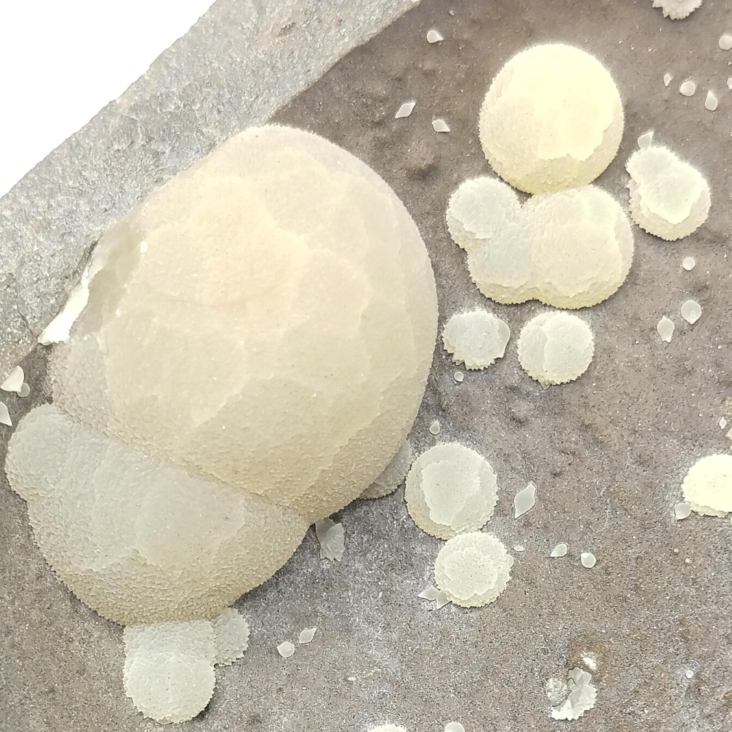 Calcite (vatérite), Montalto di Castro, Toscane, Italie.