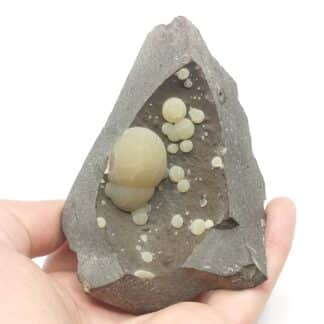 Calcite (vatérite), Montalto di Castro, Toscane, Italie.