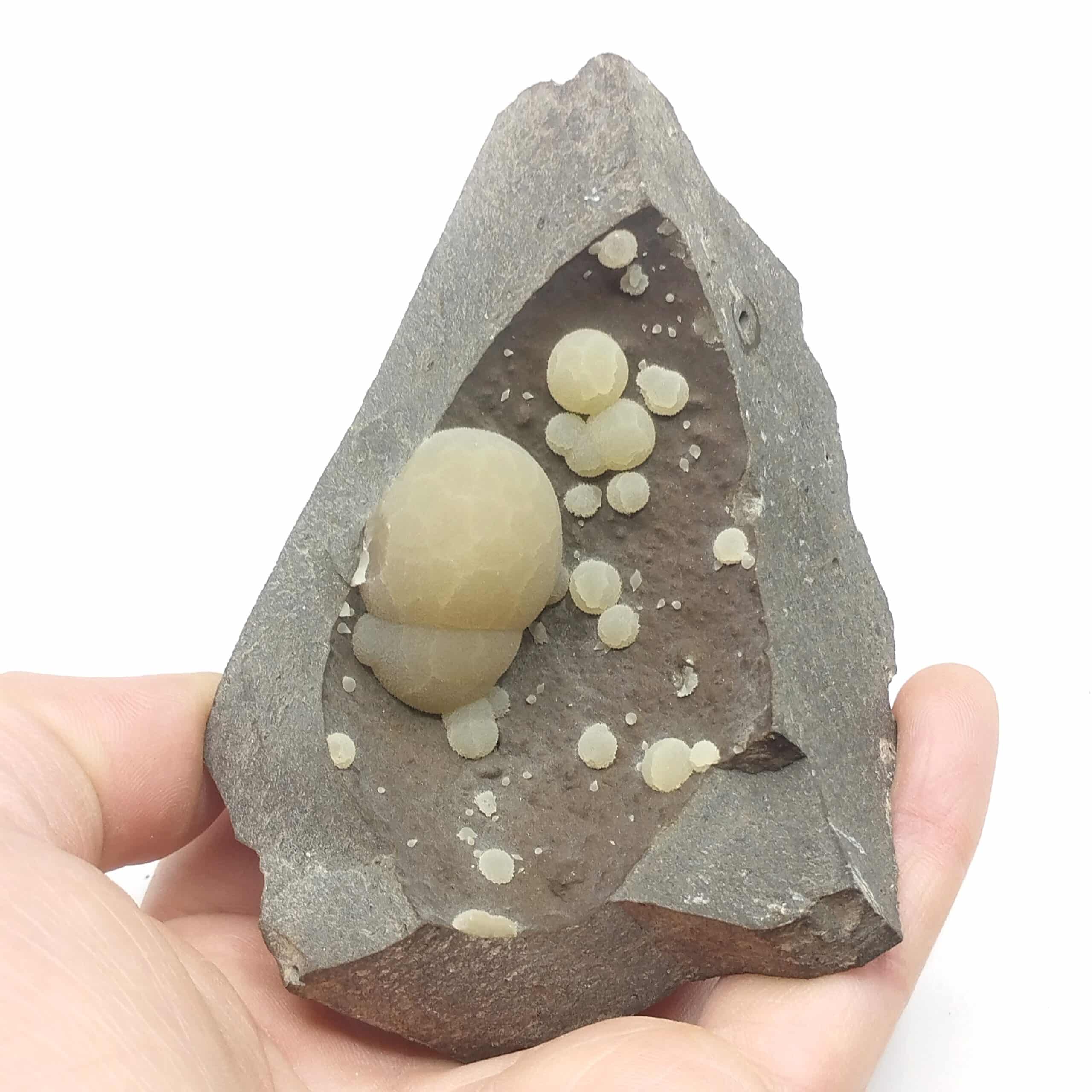 Calcite (vatérite), Montalto di Castro, Toscane, Italie.