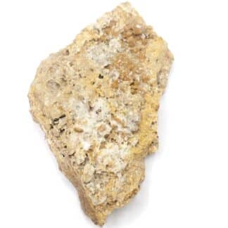 Endlichite (Vanadinite), Touissit, Oujda, Maroc.