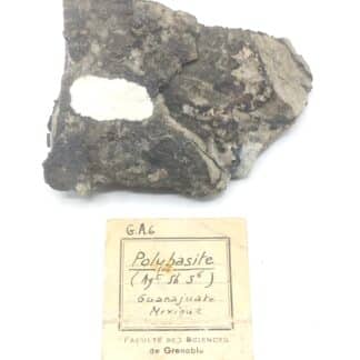 Argent natif & Polybasite, Guanajuato, Mexique.