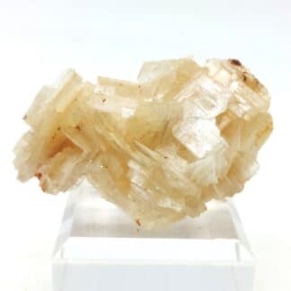 Cérusite, Moulay Bouazza Caïdat, Maroc.