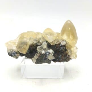Calcite sur Sphalérite (blende), mine de Trèves, Gard.