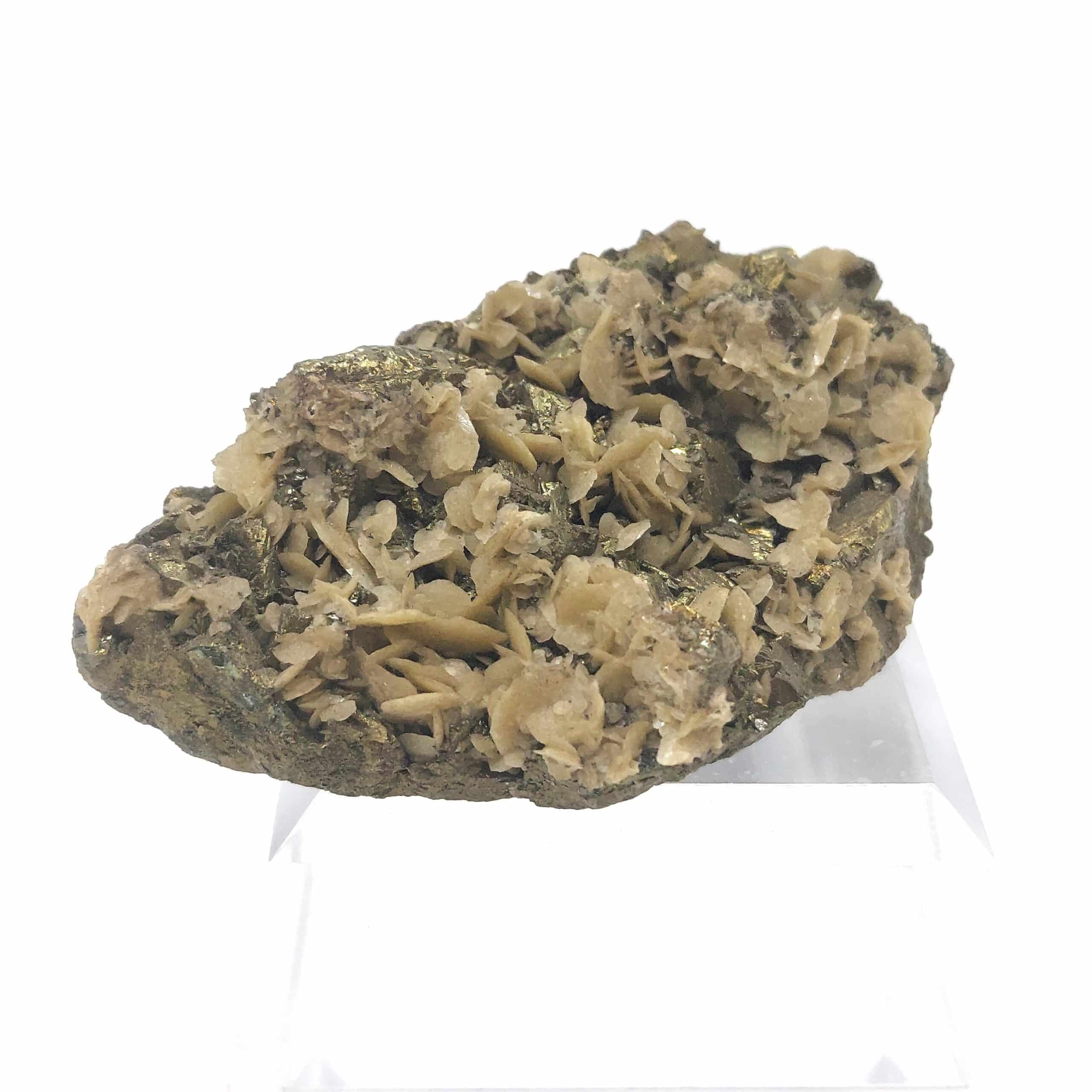 Chalcopyrite et Sidérose (Mésitite), Saint-Sylvestre, Urbeis, Bas-Rhin, Alsace.