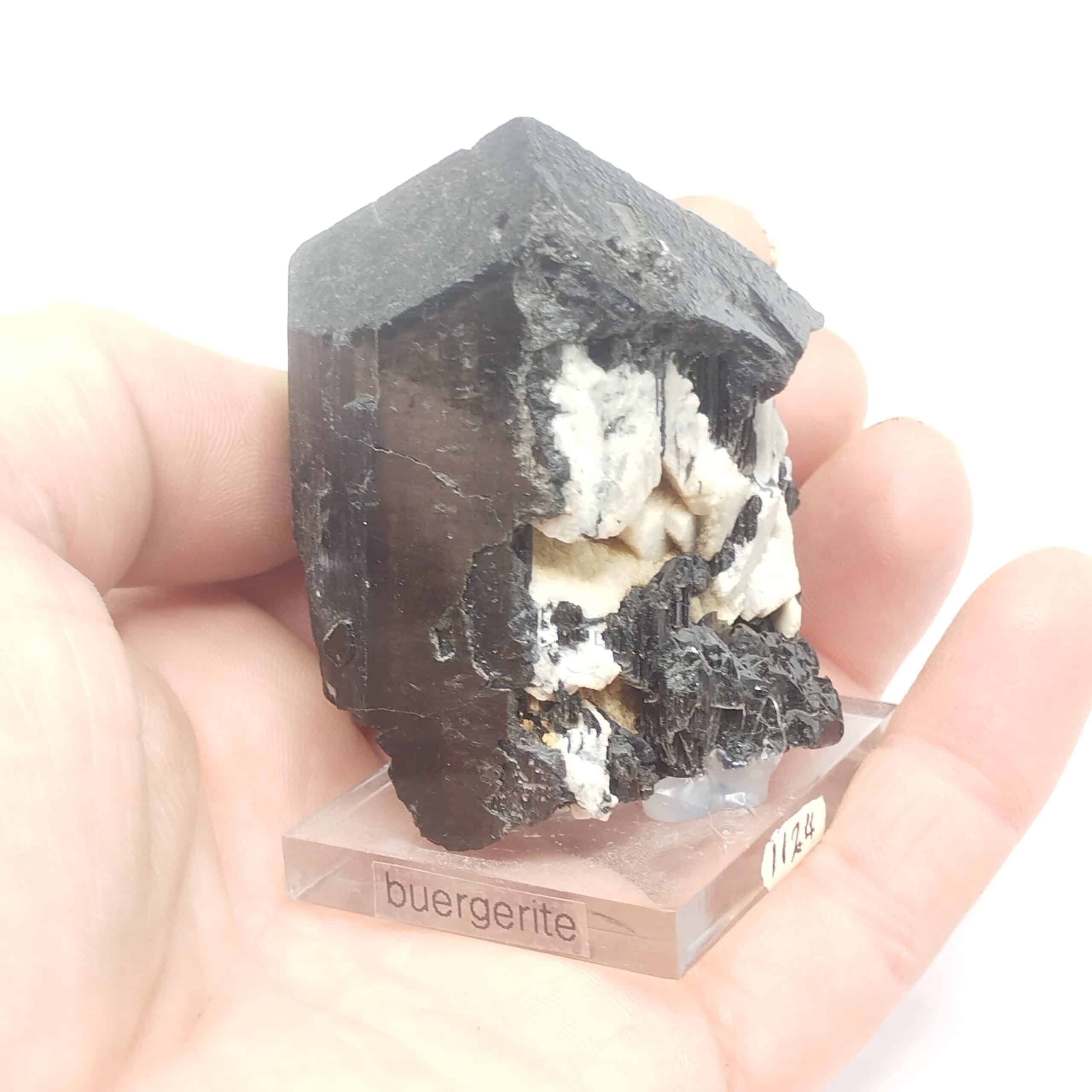 Schorl (Tourmaline), Anjanabonoina, Madagascar.