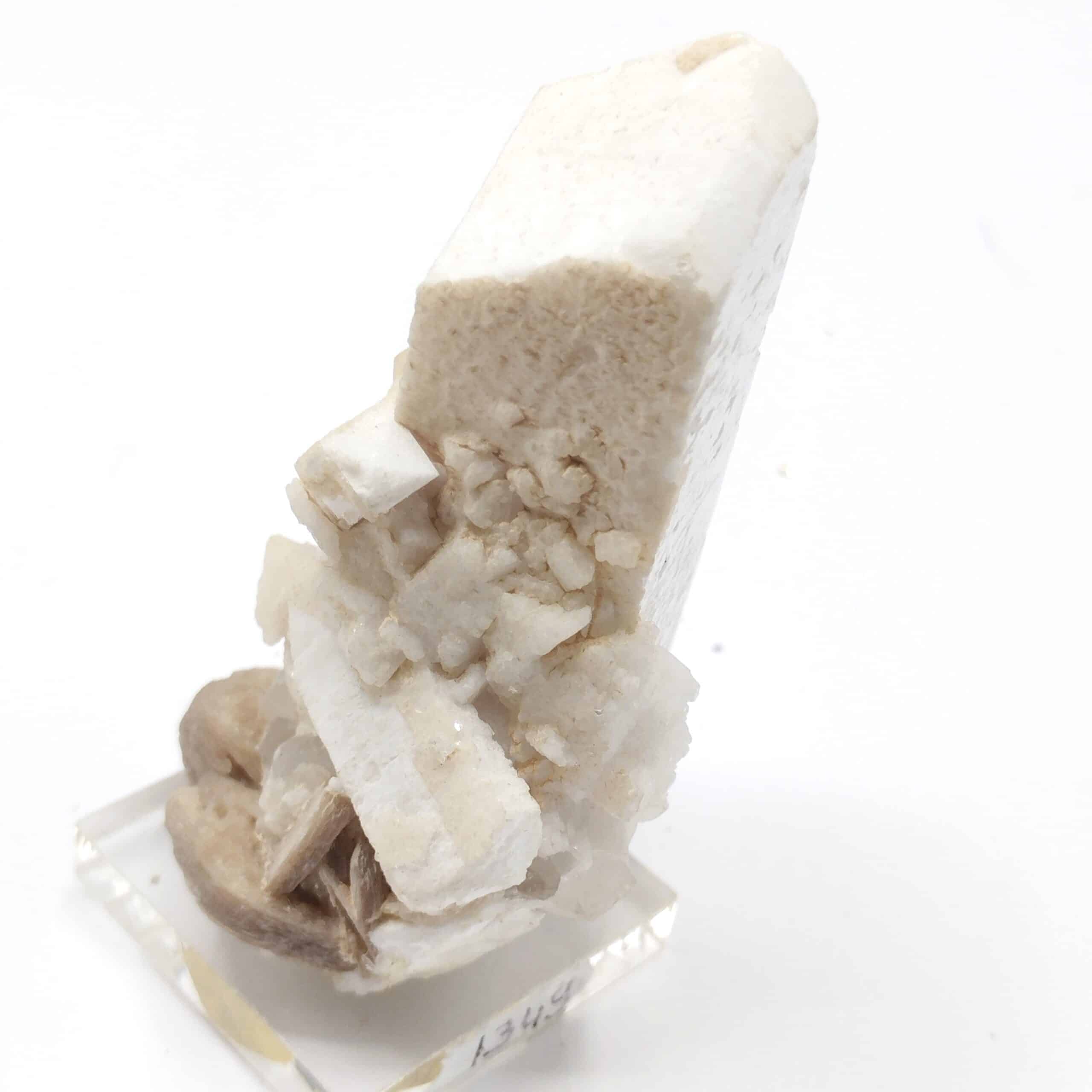 Orthose, Raikot, Gilgit, Pakisan.