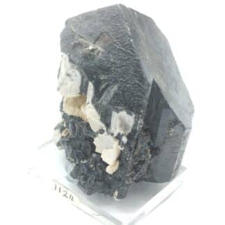 Schorl (Tourmaline), Anjanabonoina, Madagascar.