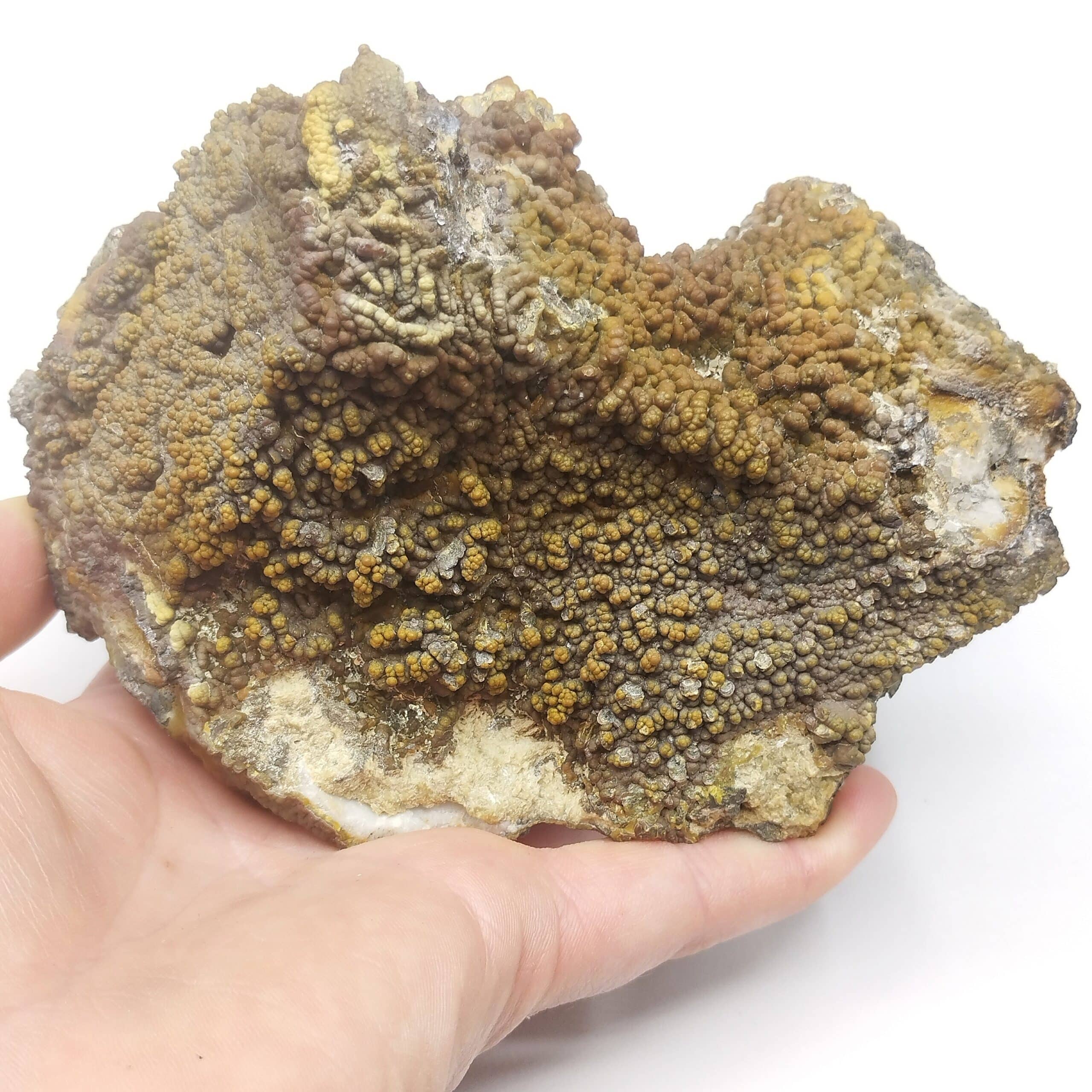 Blende (Sphalérite), Saint-Salvy-de-La-Balme, Tarn.