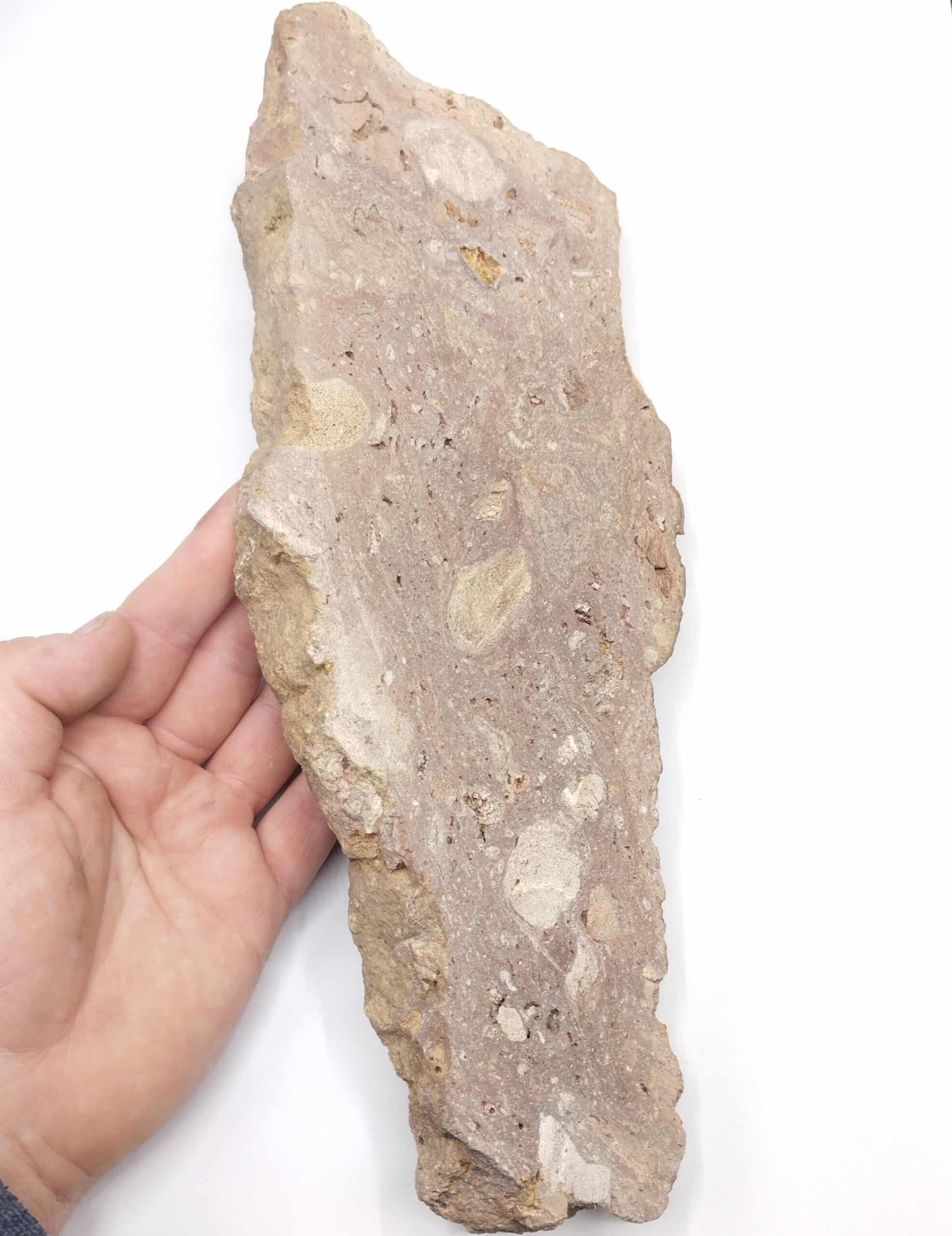 Impactite Rochechouart, Rochechouart, Haute-Vienne, Limousin.