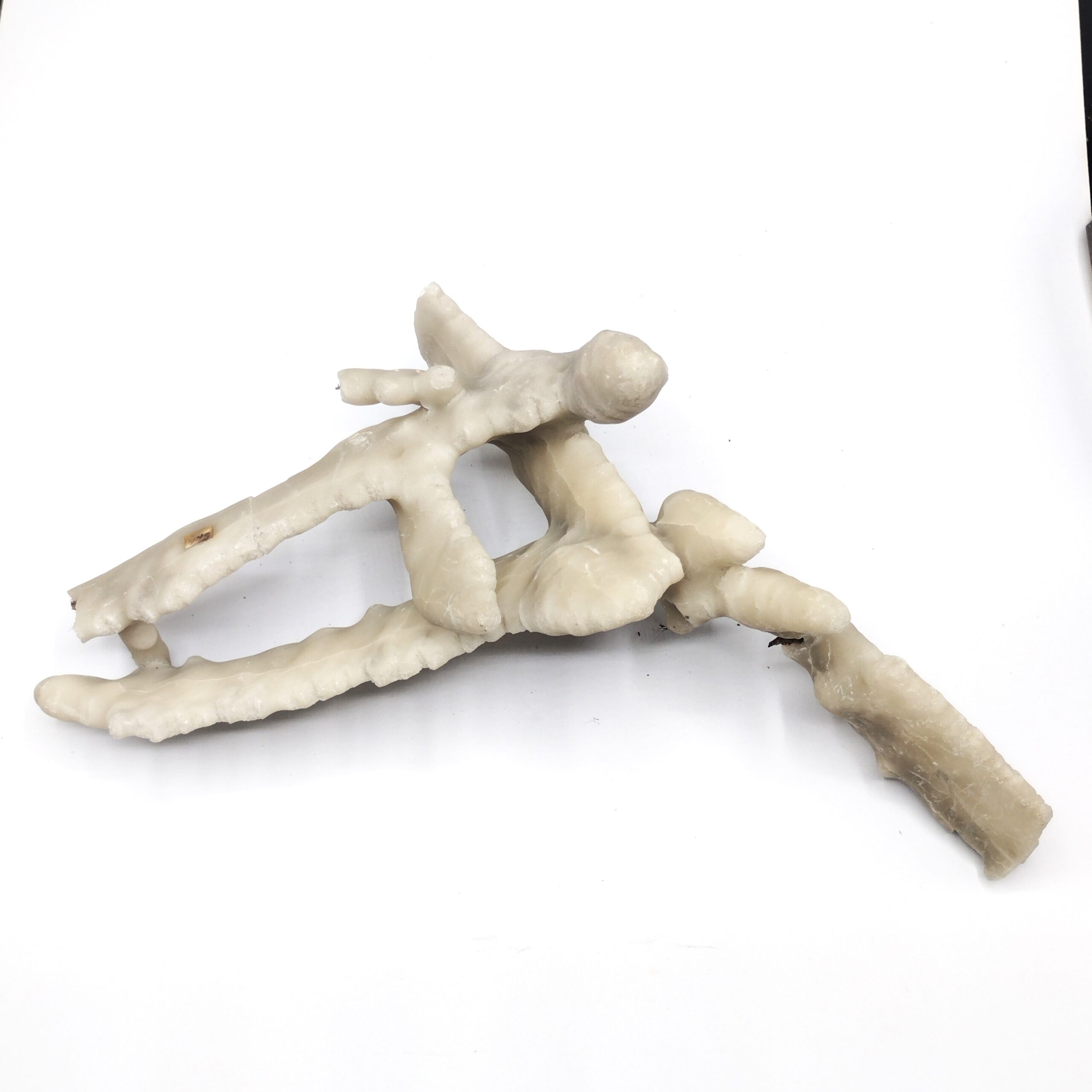 Aragonite, Gradierwerk, Bad Rothenfelde, Saxe, Allemagne.