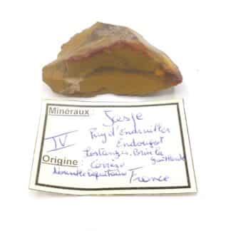 Jaspe (Quartz), Puy d’Endruilles, Lostanges, Corrèze.