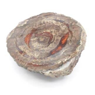 Lithophyse (Agate, Quartz), Vallée du Reyran, Fréjus, Var.