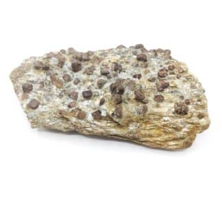 Grenat, Port Morvil, Île de Groix, Morbihan, Bretagne.