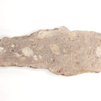 Impactite Rochechouart, Rochechouart, Haute-Vienne, Limousin.