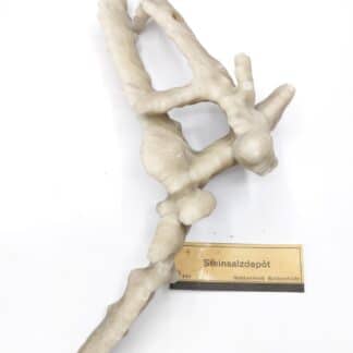 Aragonite, Gradierwerk, Bad Rothenfelde, Saxe, Allemagne.