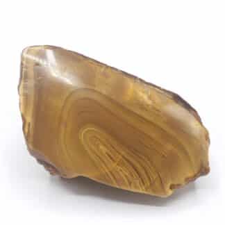 Ambre, Rochefort, Charente.