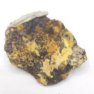 Fourmariérite, Mine Margnac I, Haute-Vienne, Limousin.