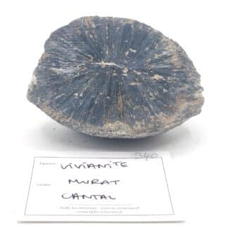 Vivianite, Murat, Cantal.