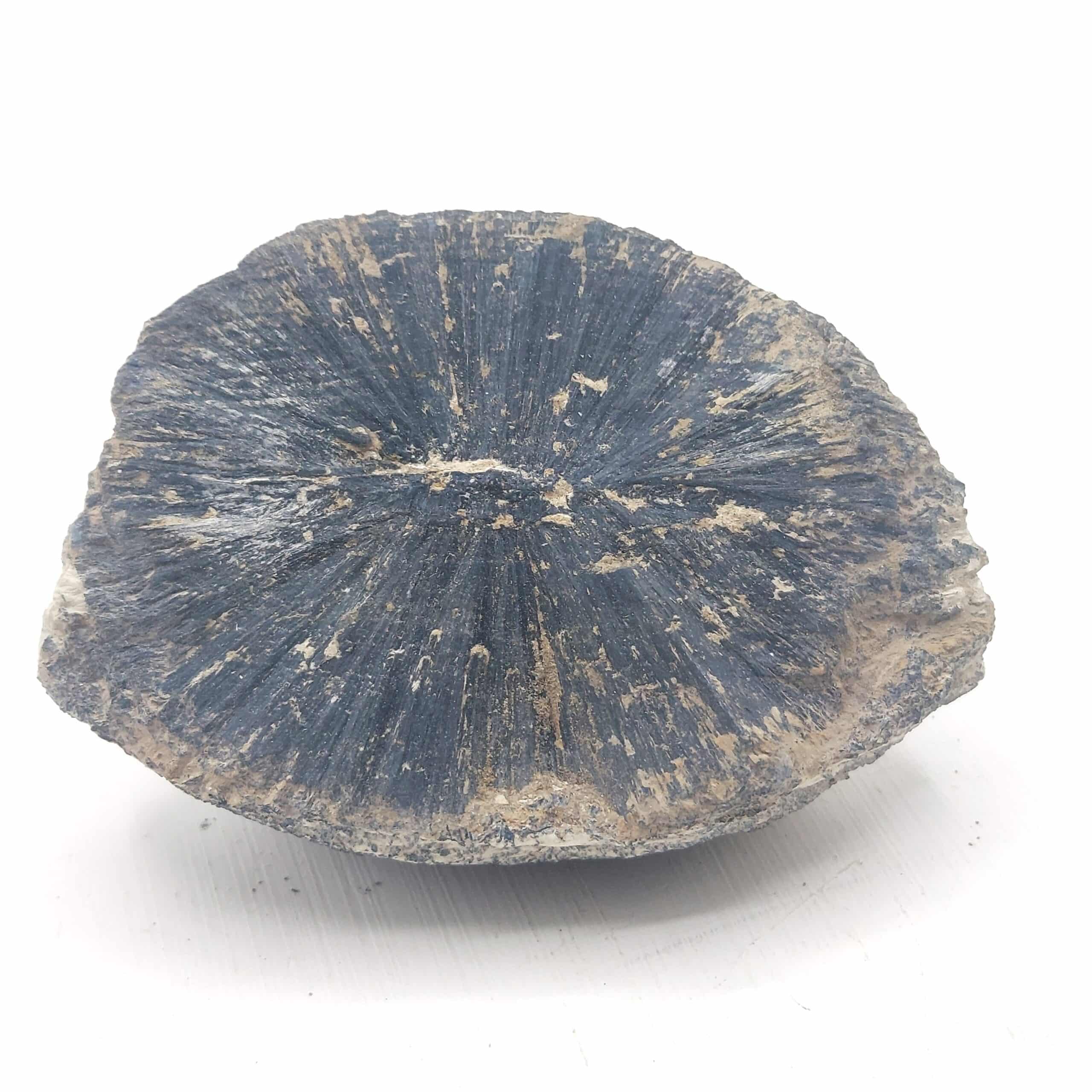 Vivianite, Murat, Cantal.