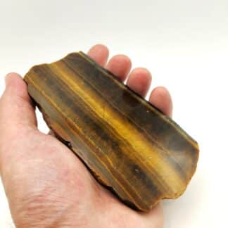 Œil de Tigre (Quartz), Afrique du Sud.