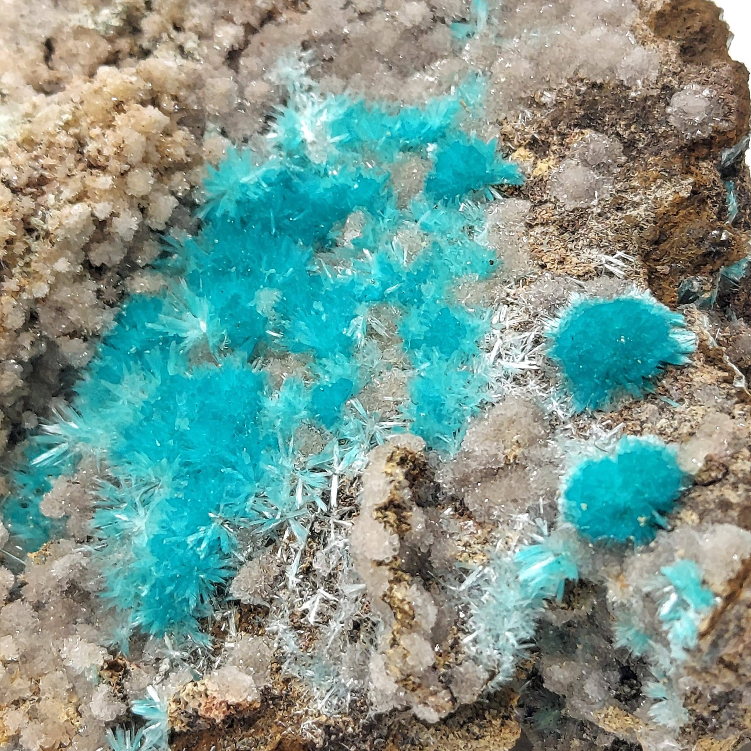 Aurichalcite, Ojuela, Mexique.
