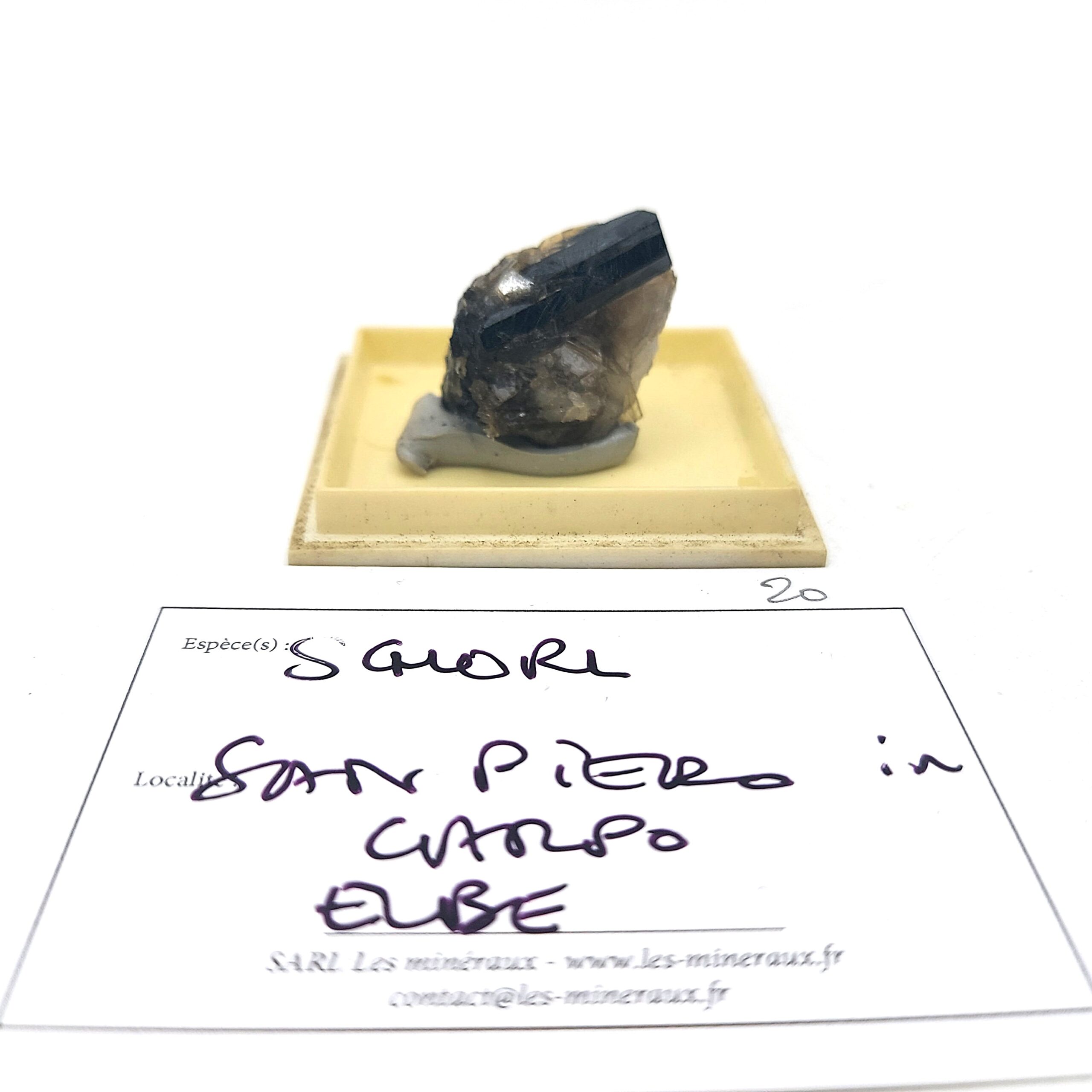 Schorl, San Piero in Campo, Campo nell'Elba, Toscane, Italie.