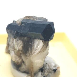 Schorl, San Piero in Campo, Campo nell'Elba, Toscane, Italie.