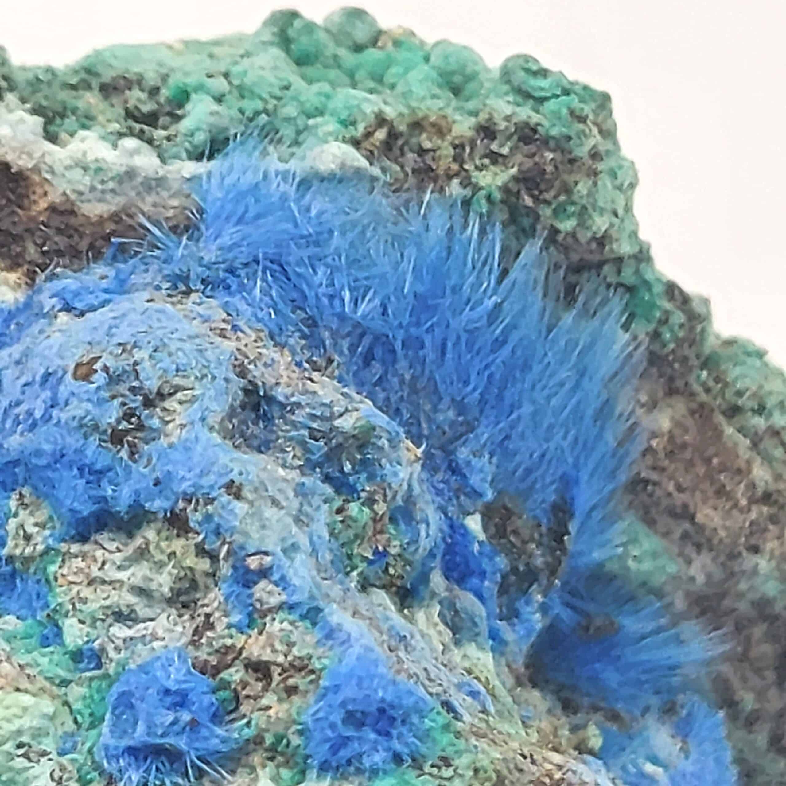 Cyanotrichite, Grandview, comté de Coconino, Arizona, États-Unis.