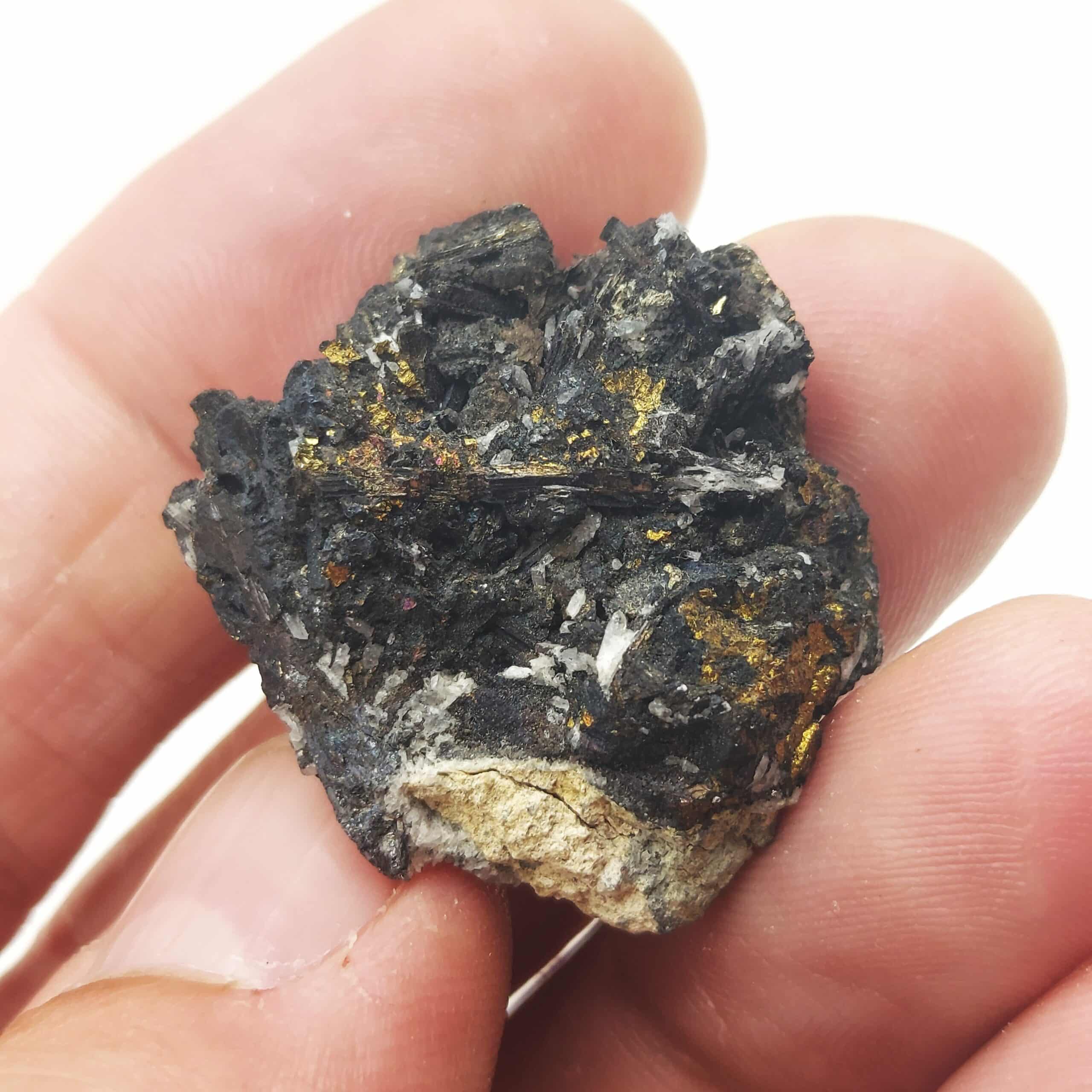 Bismuthinite, Chalcopyrite, Fowey Consols de Cornouailles, Royaume-Uni.