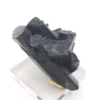 Chevkinite-(Ce), District de Tangir, Gilgit-Baltistan, Pakistan.