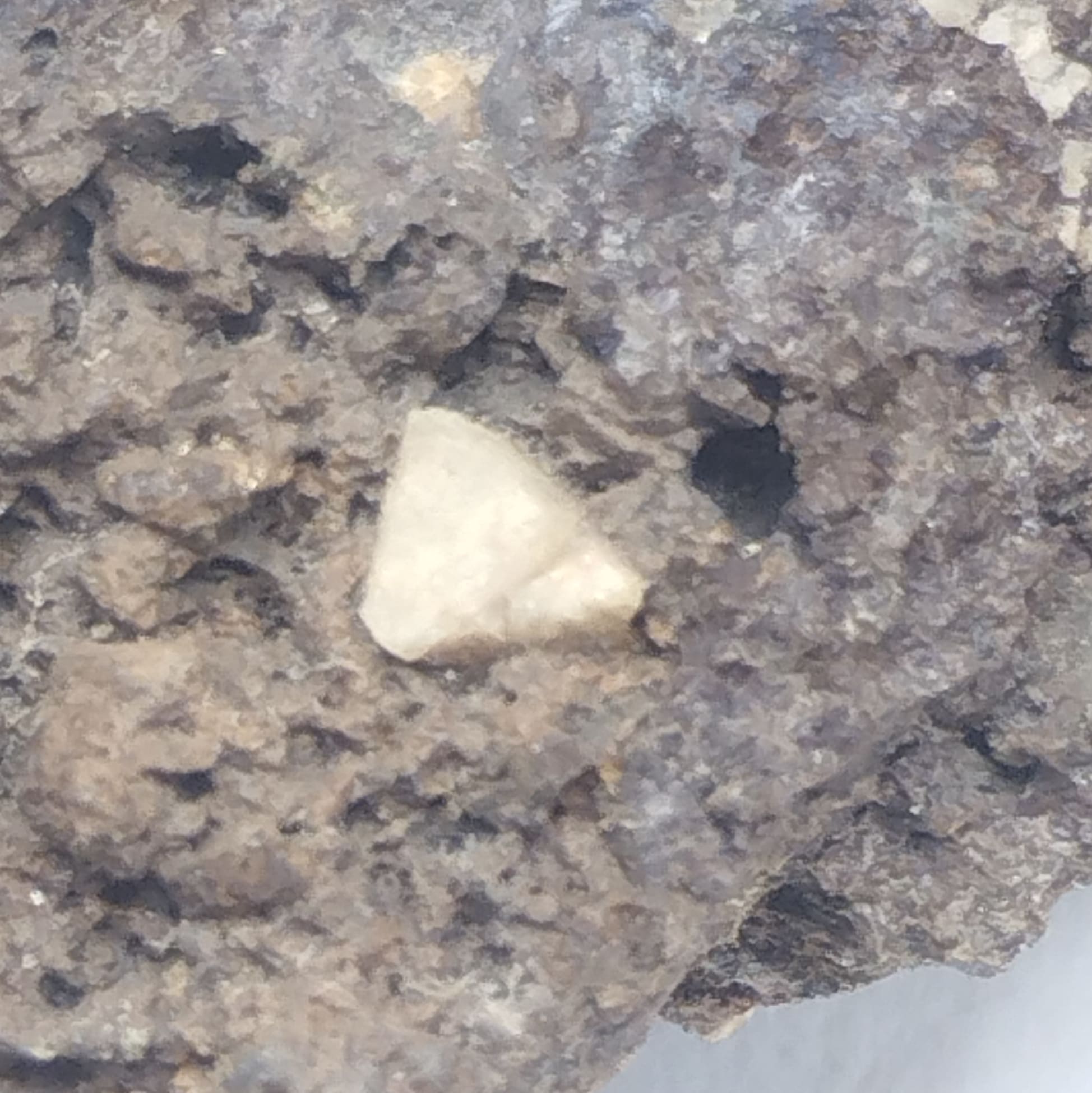 Scheelite & Grenat, Pic de Costabonne, Pyrénées-Orientales.
