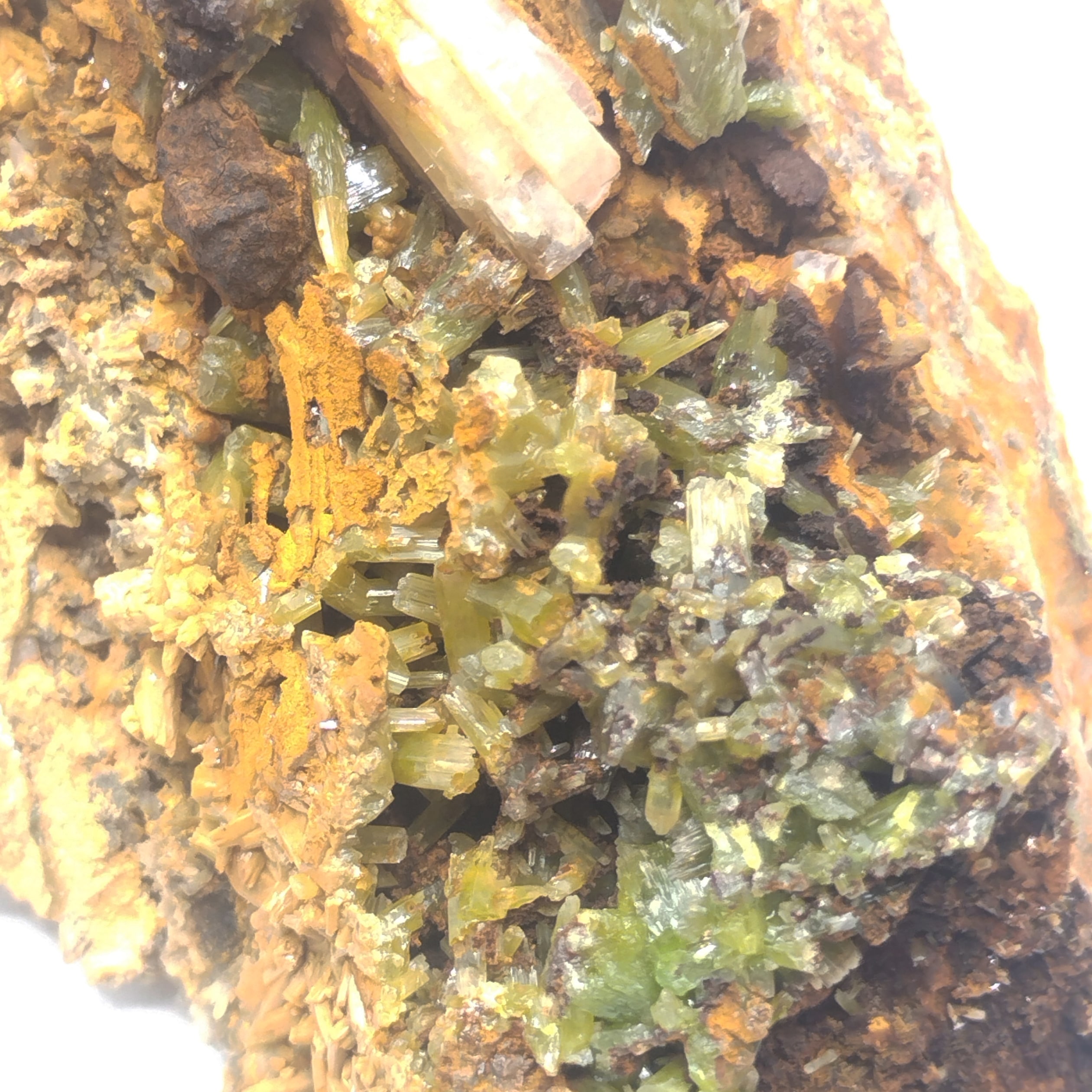 Pyromorphite, Steinbach, Haut-Rhin.