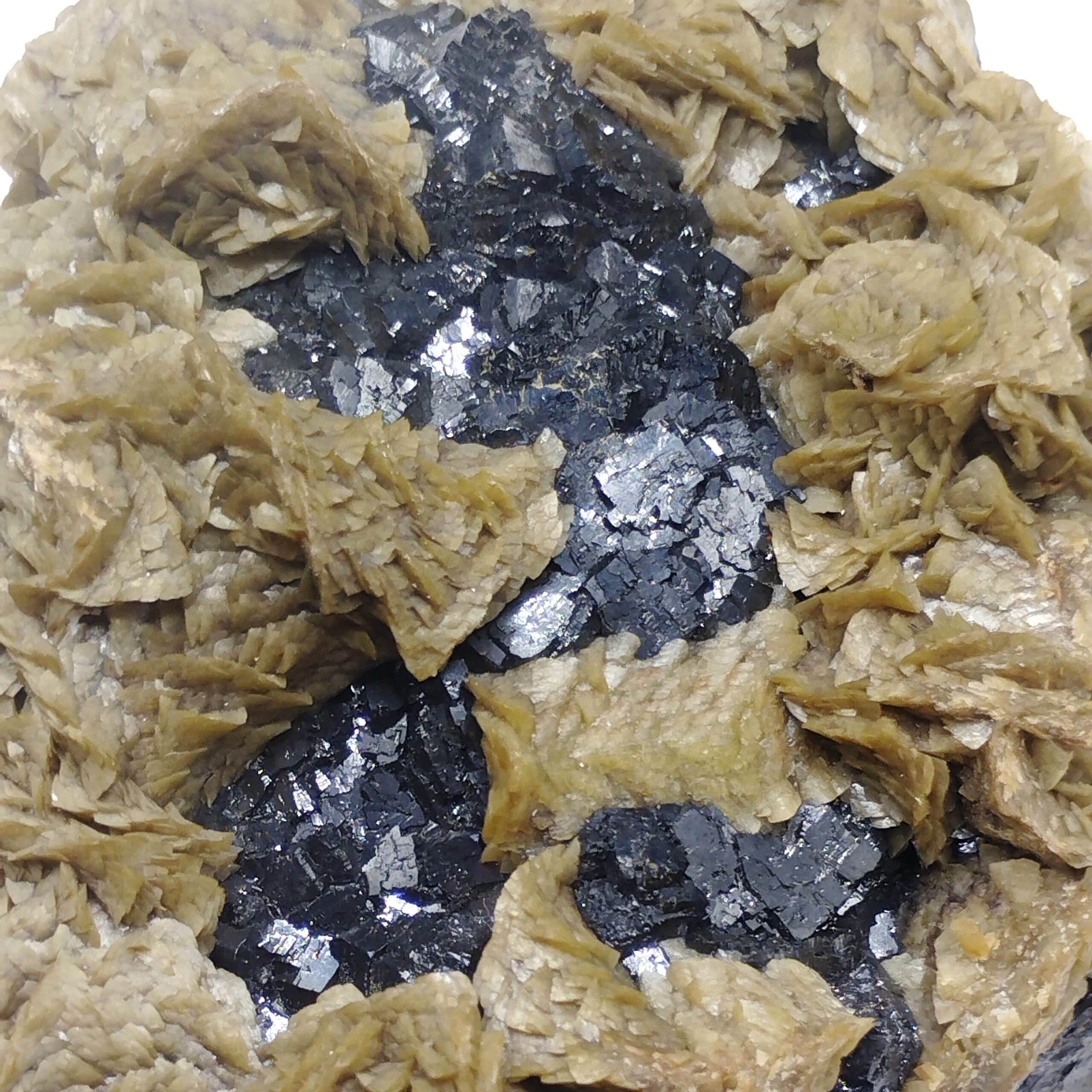 Sidérite, Blende & Calcite, Mine de Peyrebrune, Tarn.