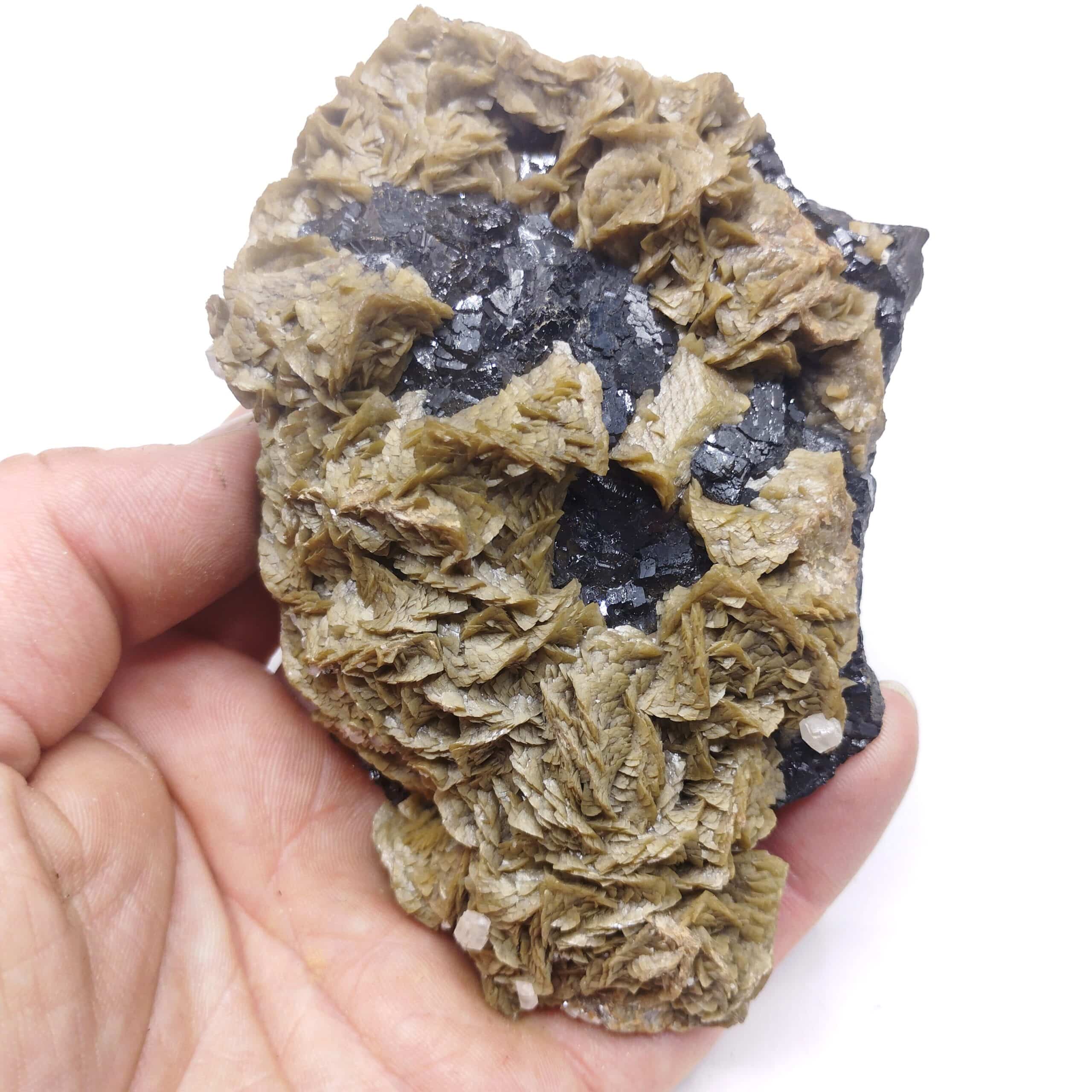 Sidérite, Blende & Calcite, Mine de Peyrebrune, Tarn.