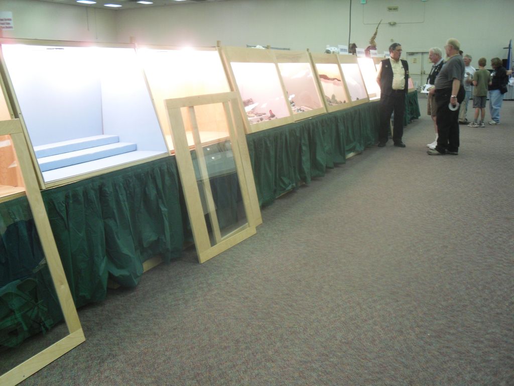 Les vitrines d'exposition bien conçues de la bourse aux minéraux de Denver.