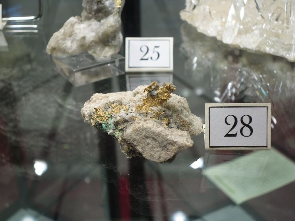 Or sur quartz de La Gardette, une mine en Oisans.